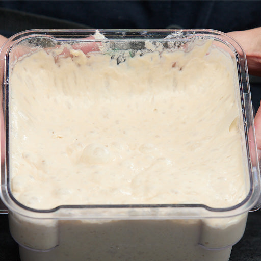 Two hands holding an airtight container of poolish.