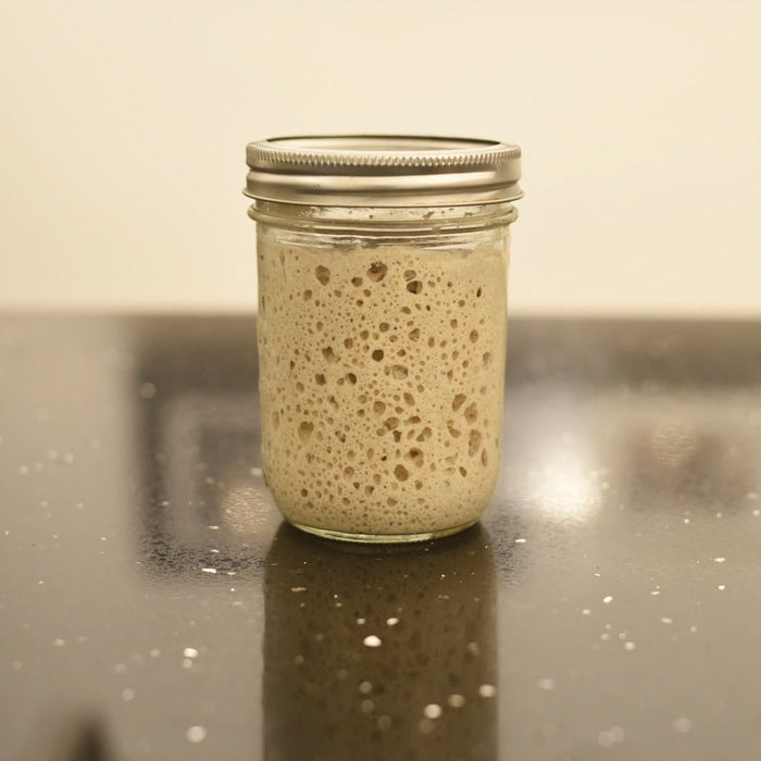 Sourdough starter